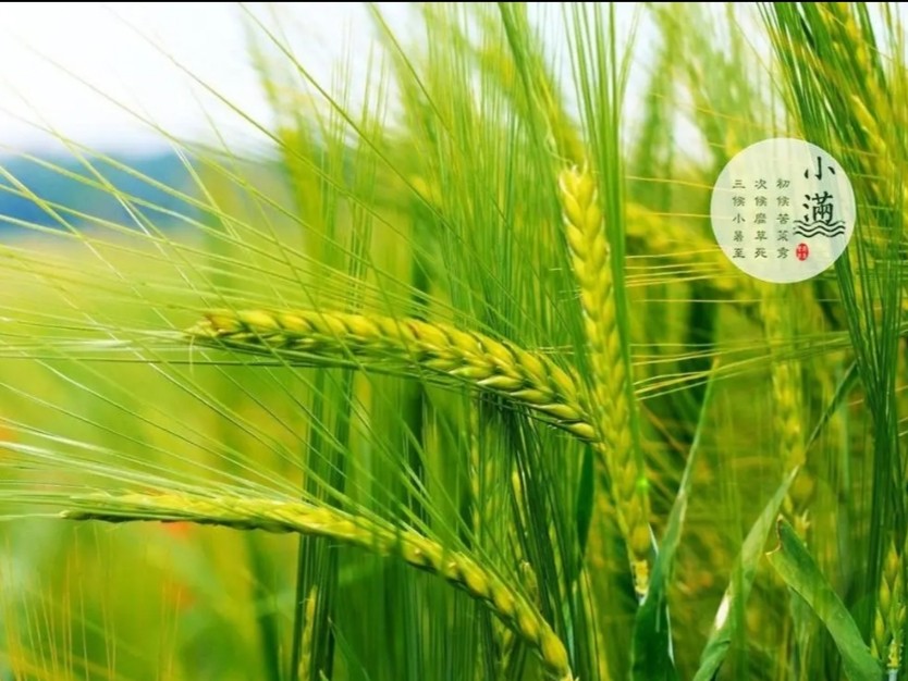 【精英专刊】【九江文学社：北京头条】箫海玉先生佳作欣赏（图13）