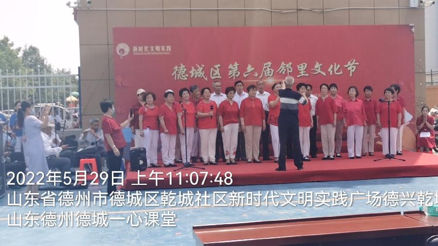 志愿者精英荟萃 邻里节各展风采(图4)
