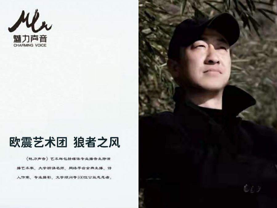 刘恒甫诗歌《大象无形》金牌主播狼者之风倾情朗诵(图10)