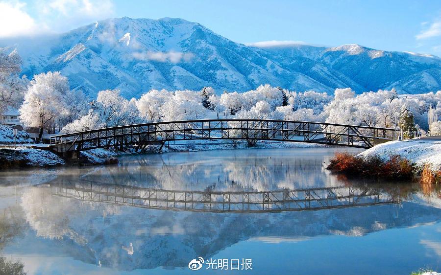韦振宇绝句（图3）