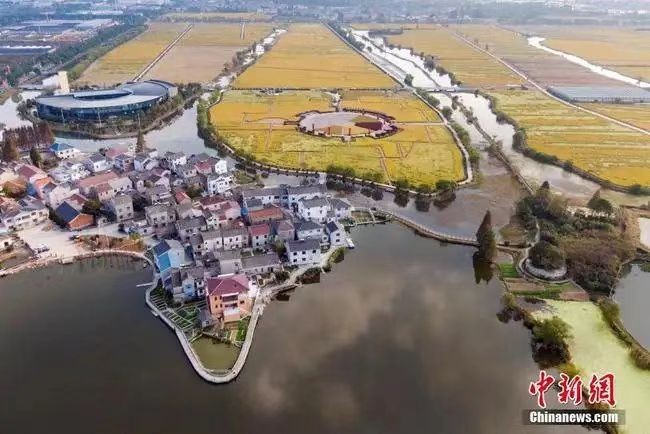 大美湖熟 作者 赵阳春（南京）【冰心文化传媒】（图4）