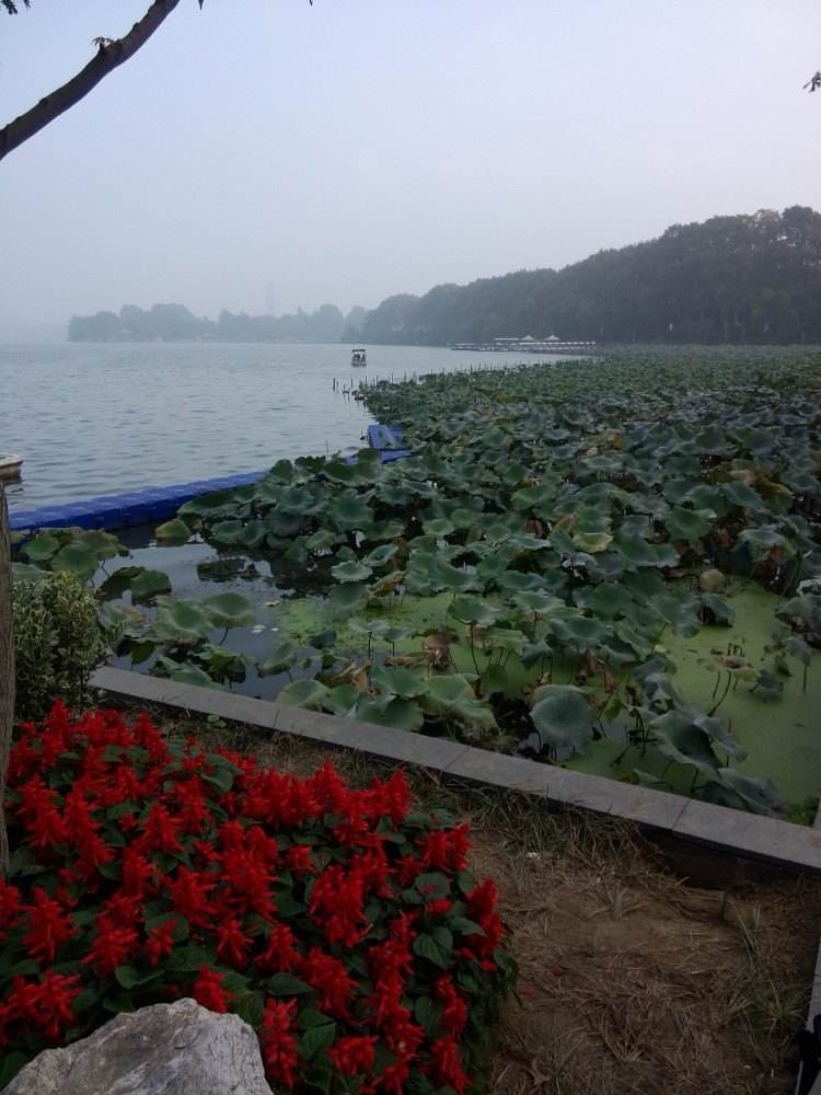 大美湖熟 作者 赵阳春（南京）【冰心文化传媒】（图5）