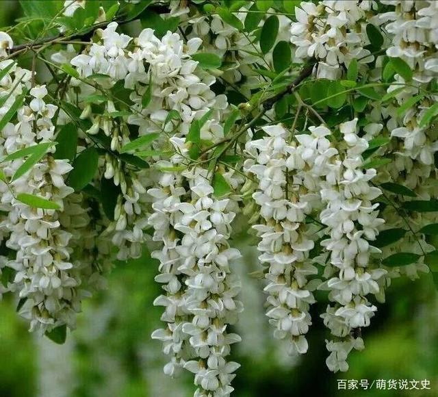 中华诗艺九江格律诗词精品鉴赏(合辑)第1440期(图18)