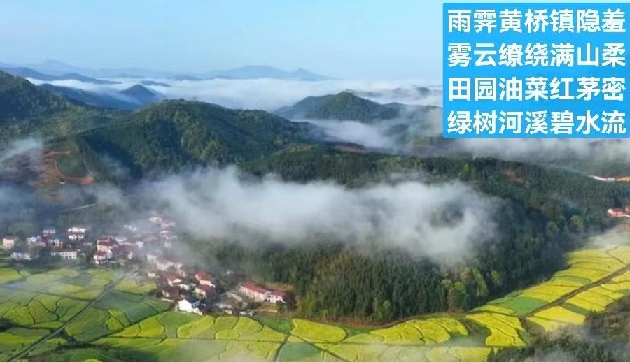 题图-青城翠亭古琴悠（外一首）文/小茶一丛（图6）