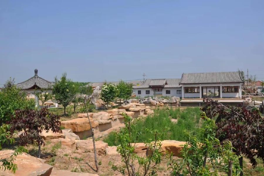 【文旅聊城】临清市魏湾镇:串珠成链,推动“两河之约”文旅融合创新发展(图5)