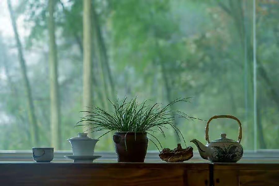【新诗大观】静的力量||文/李思圆||诵/文嘉(图4)