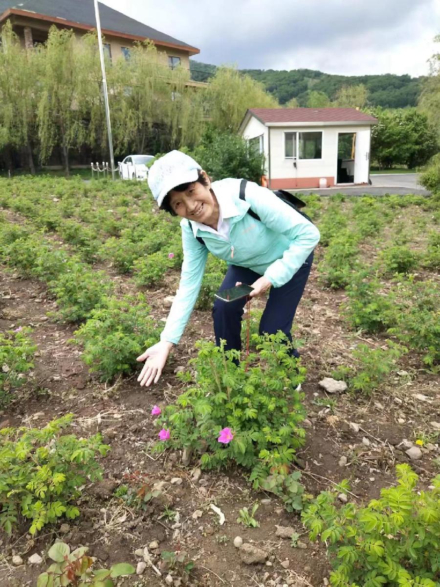 北大壶之夏 作者孙秀兰（图8）