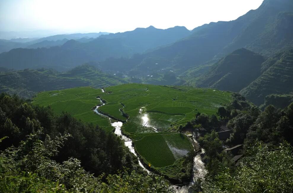 090109052.jpg p05.jpg