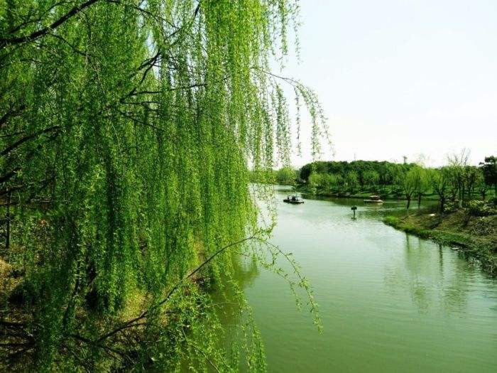 〔格律小辑〕作者 周海峰(哈尔滨)【冰心文化传媒】(图17)