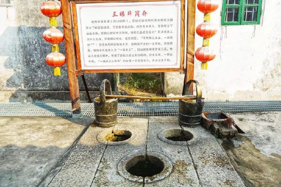 【枫雅汇看图约诗】诗人焦勇《190期》(三眼井)(图4)