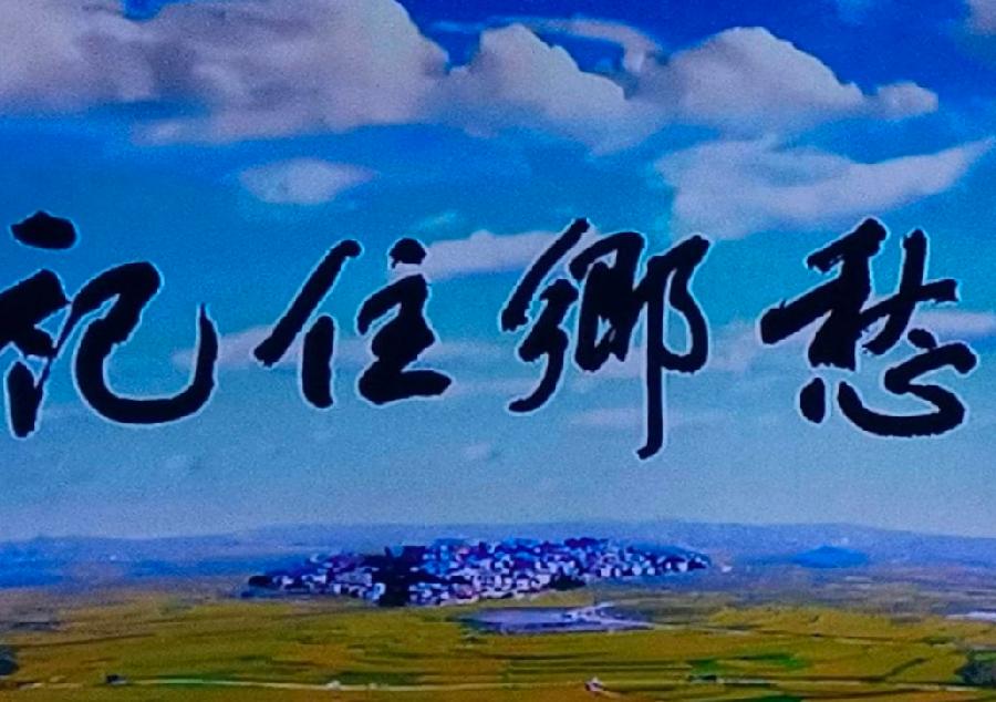 风吹麦浪，丰收景象！（图4）