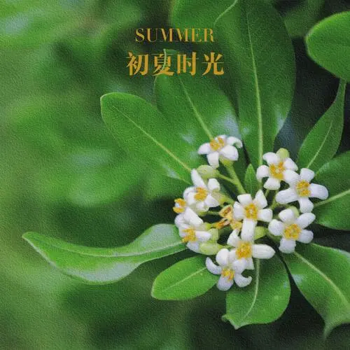 [桃源古韵]诗词十二首|作者:陈宏元[桃源国际诗歌总1119期]（图11）