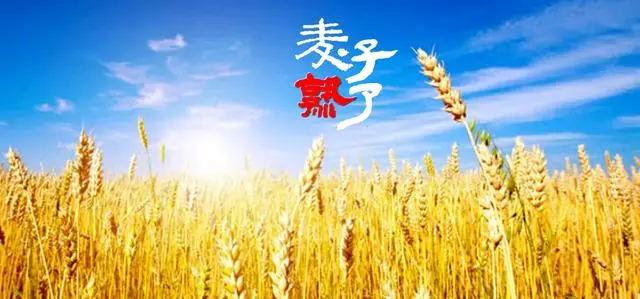 [桃源国际诗歌馨声]麦子熟了|作者:秦砖|主播:长弓雅士[总1110期]（图4）