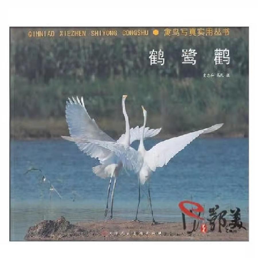 三亚的鸟 作者/吴松 诵读/妙琪（图5）