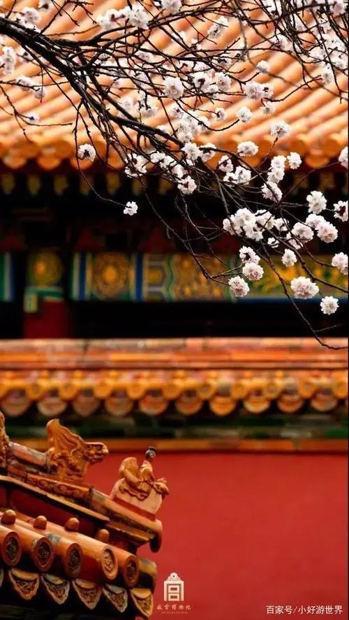 [桃源国际诗歌馨声]许你一座花开不败的城|作者:彩红|主播:钟鼓楼[总1110期]（图9）