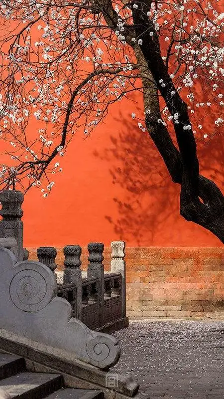 [桃源国际诗歌馨声]许你一座花开不败的城|作者:彩红|主播:钟鼓楼[总1110期]（图6）