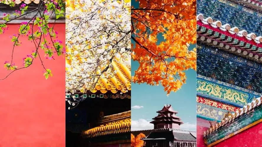 [桃源国际诗歌馨声]许你一座花开不败的城|作者:彩红|主播:钟鼓楼[总1110期]（图8）