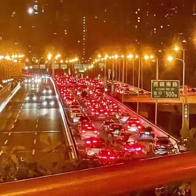 *定西番-劫后解封魔都归来时* 文/冯志清(上海)【冰心文化传媒】(图13)