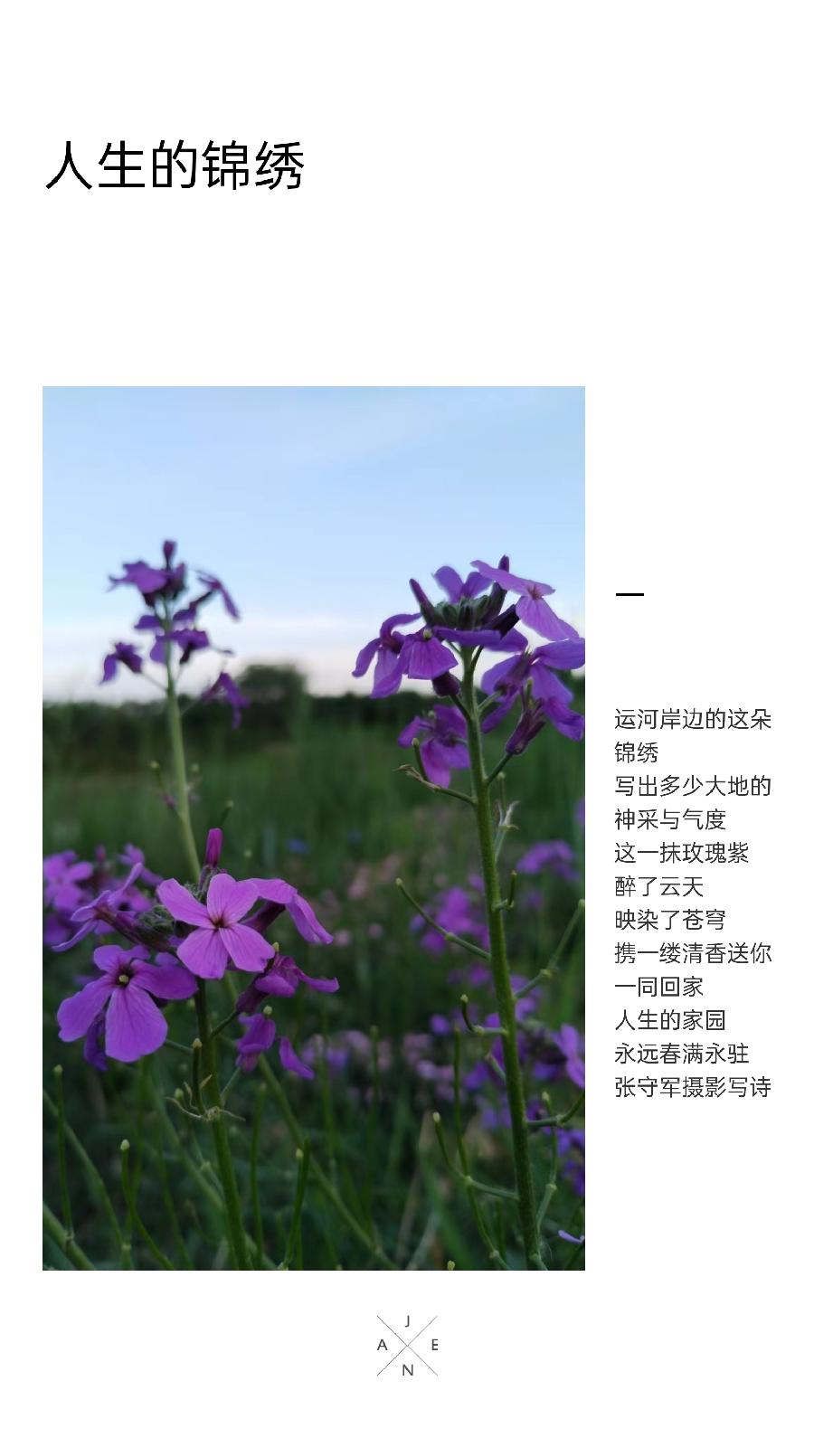 【雅诗总会】精品★写出墨随心走的影像与印迹——张守军诗书画一览（图4）
