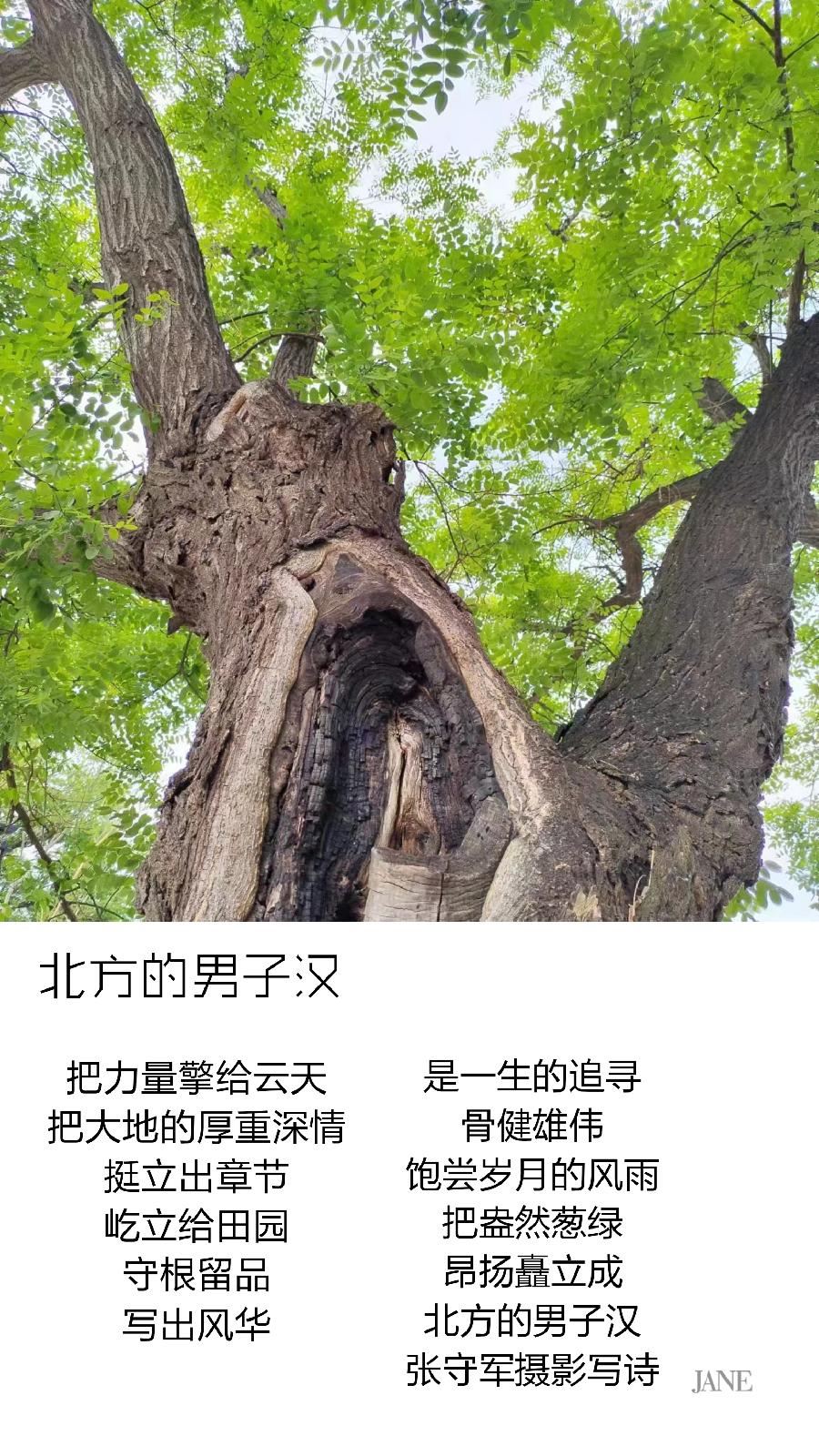 【雅诗总会】精品★写出墨随心走的影像与印迹——张守军诗书画一览（图8）