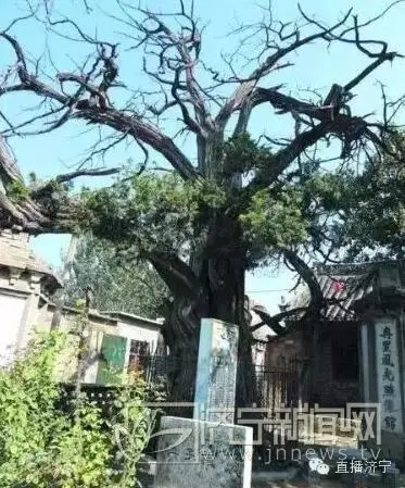 华夏流水诗词社‖ 2022年夏季葛振民诗词选辑