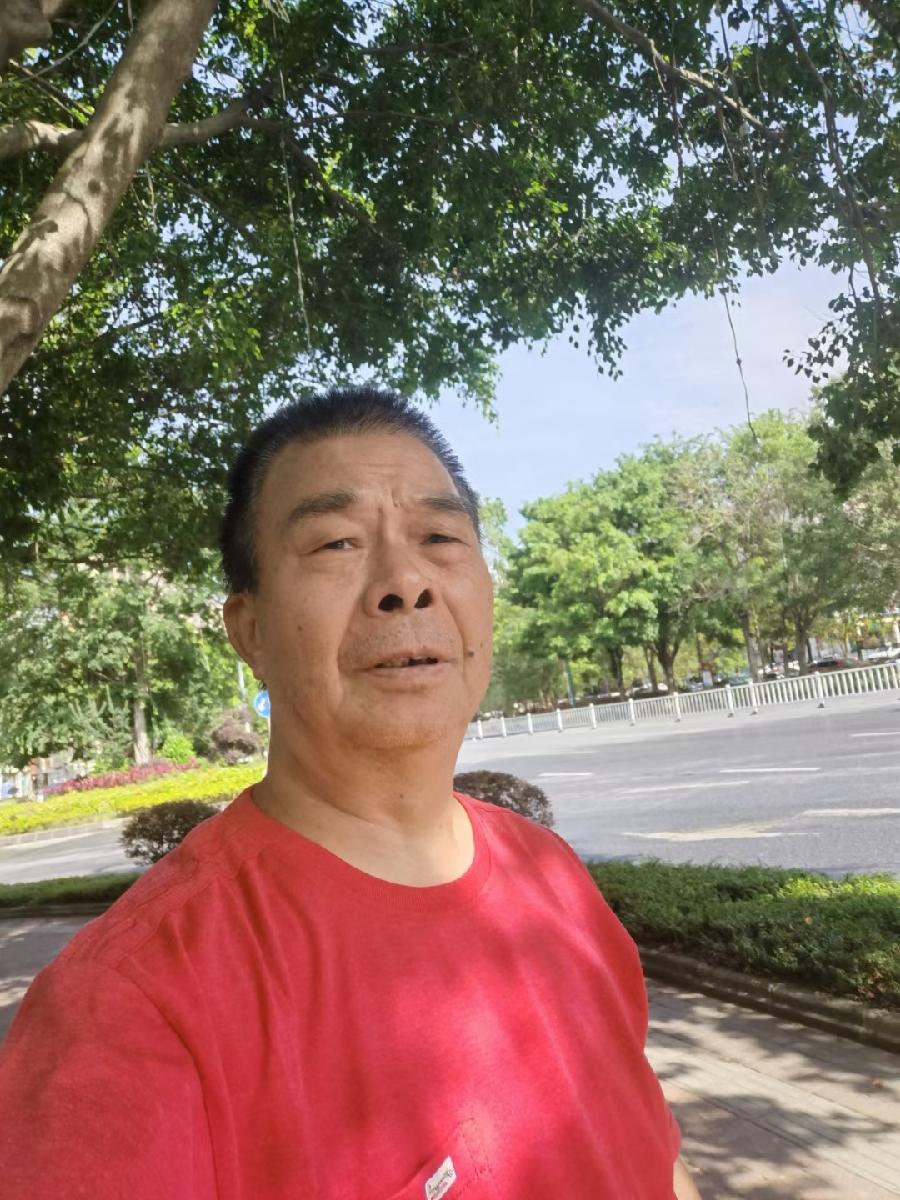 广东云浮南山翁(张国盛)《端午节颂歌专题之一》(图2)
