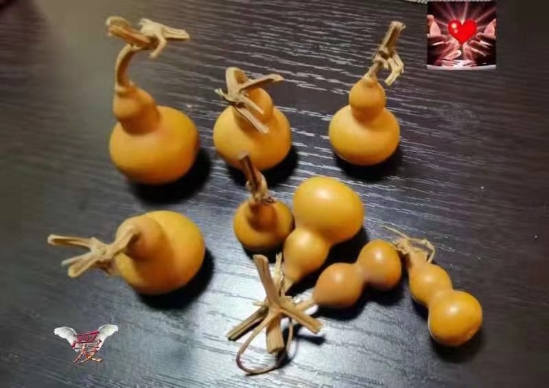 【有声诗刊专辑】‖ 作者：王朝明| 主播：二十四桥【第41期】审核：宏红（图7）