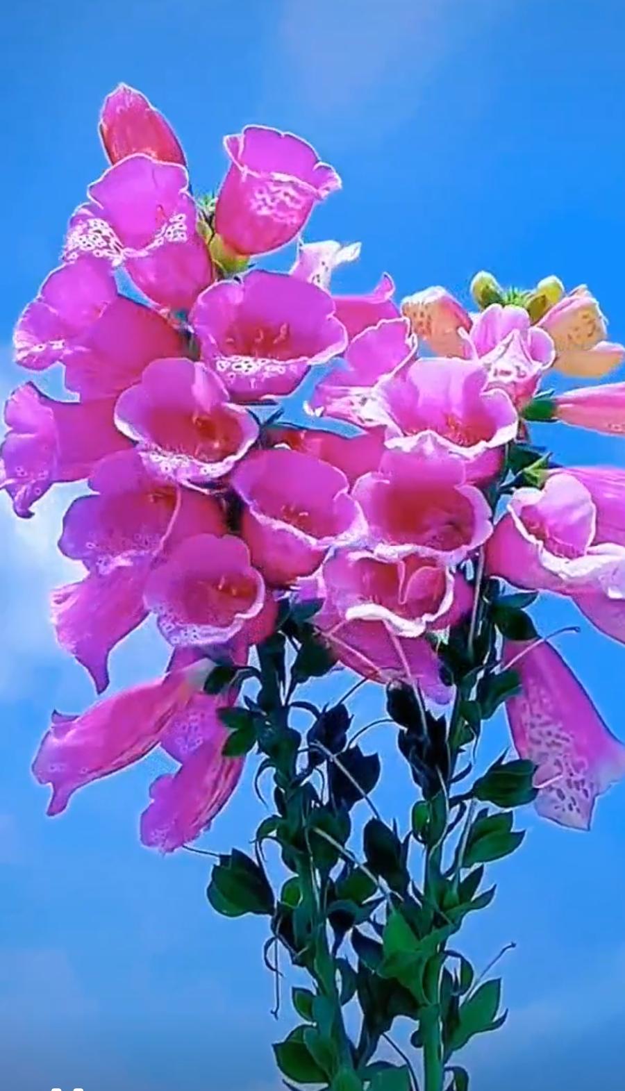 【佳作荐赏】周峰老师《忆童年我过端午节》(图14)