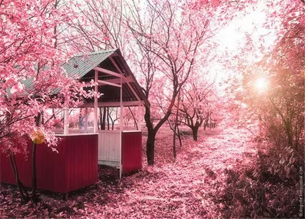 《江南诗絮-0529期刊》(图3)