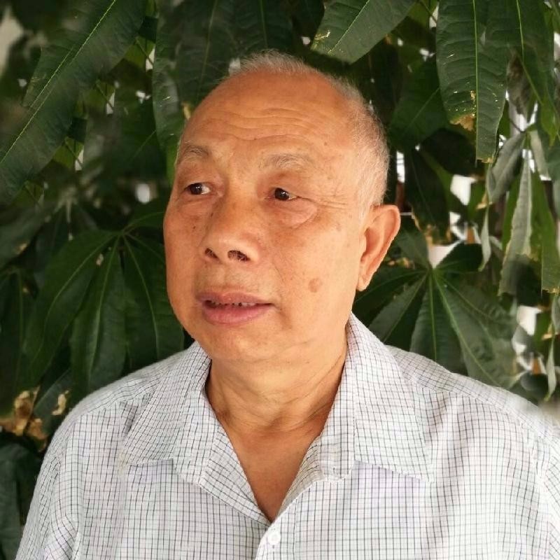 七律‖端午节来临(外二首) 广东陈皮(陈成志)京津沪头条(图4)