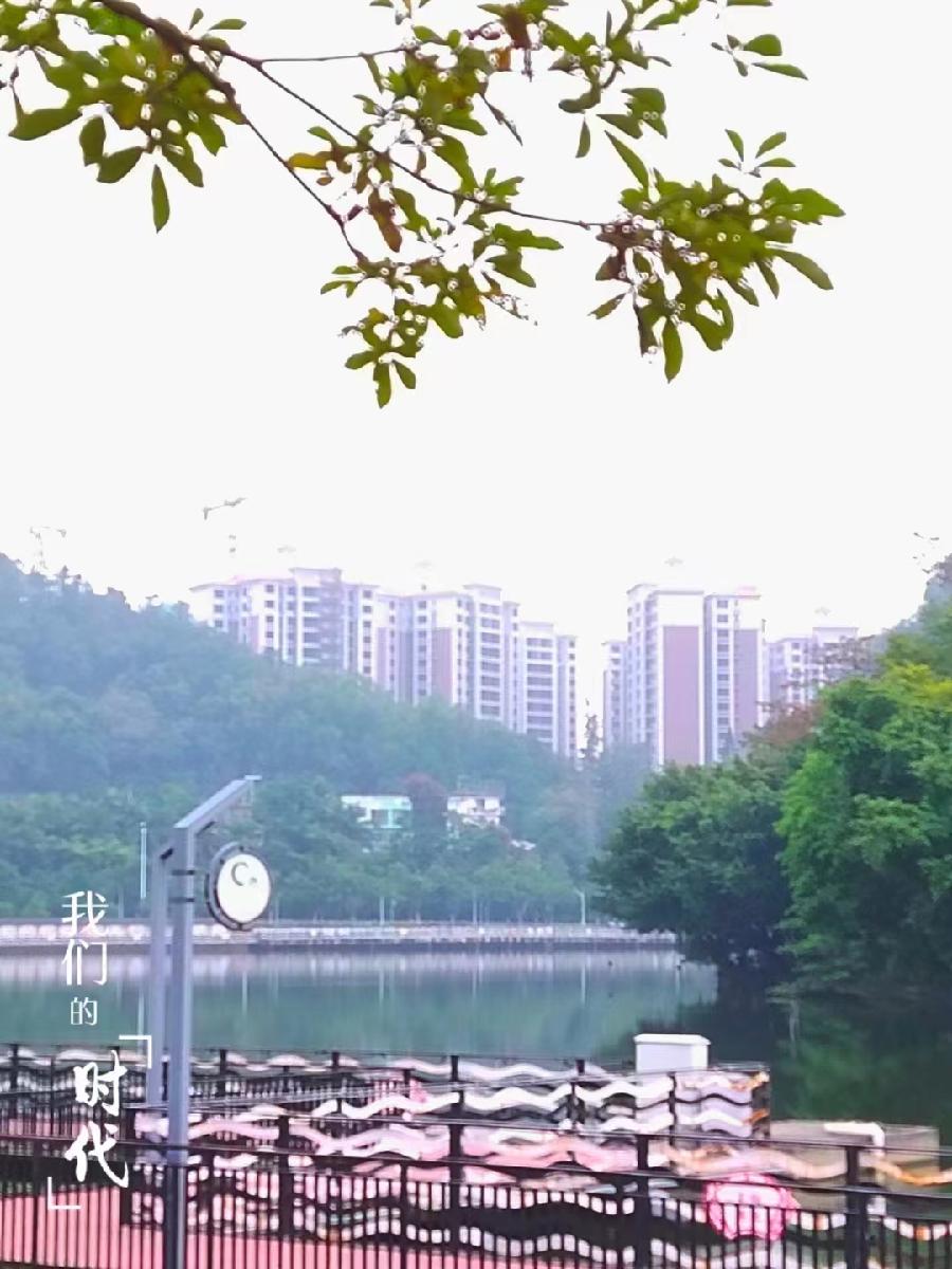 ［配音诵读］蟠龙湖，我心中的城市客厅//文/赵玉莲//朗诵/桜子（图9）