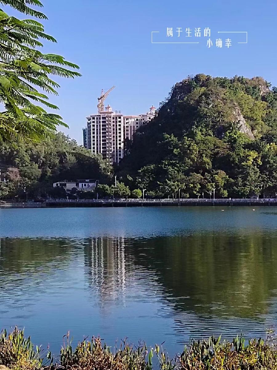［配音诵读］蟠龙湖，我心中的城市客厅//文/赵玉莲//朗诵/桜子（图8）