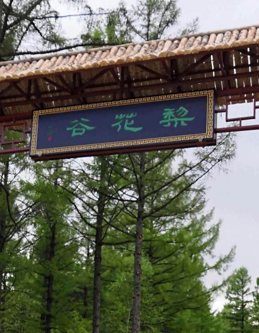 馨睿老师诗歌《梨花盛开》主播:馨睿 编辑:小鱼儿 【北疆头条】(第226期)(图3)