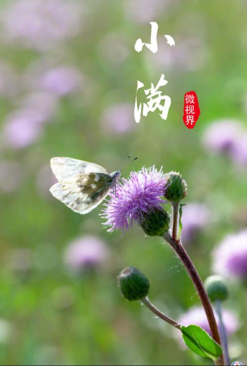 荐赏【神州源流诗苑】第654期[优秀近体诗]周刊（图6）