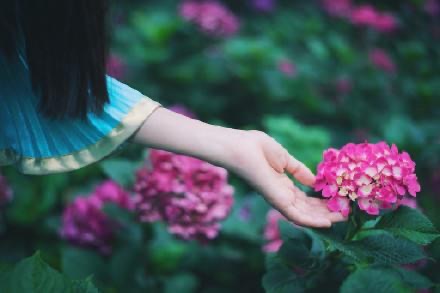 散文诗《最美的遇见》作者: 朝雪晚歌(高红) 海外華英刊（图7）