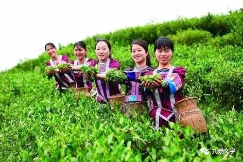 【九江文学社：北京头条】张永良先生佳作精选（图9）