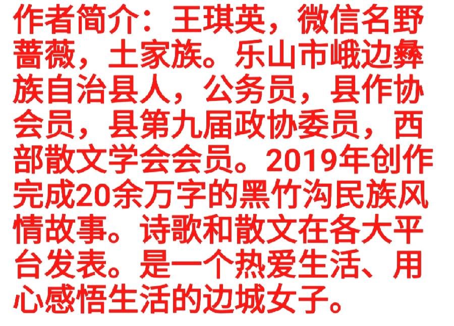 佛谒 · 梦缘 撰稿/王琪瑛(野蔷薇) 主播/张兵（平青）（图26）