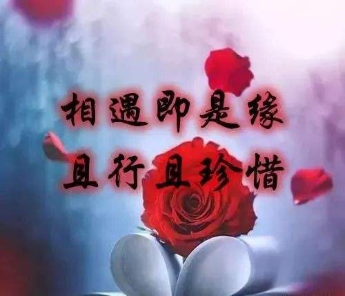 *缘份一一给所有的有缘人 * 文杨福齐（河北）【冰心文化传媒】（图4）
