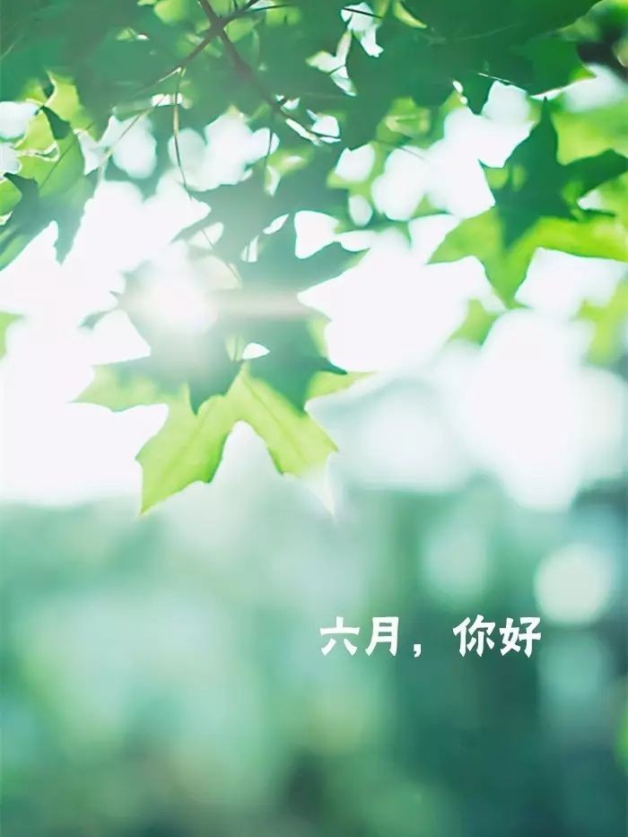 *六月* 文/秋谷(吉林)【冰心文化传媒】制作 冰心(图3)