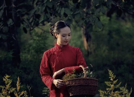 【新诗大观】花婶美得像朵花||文/沈五群(图2)