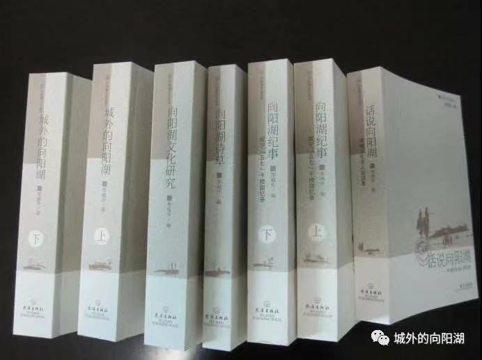 【《虽非干城壮志 却是格外传奇》——“文化兴咸”中的李城外】作者:王勿宁(图7)