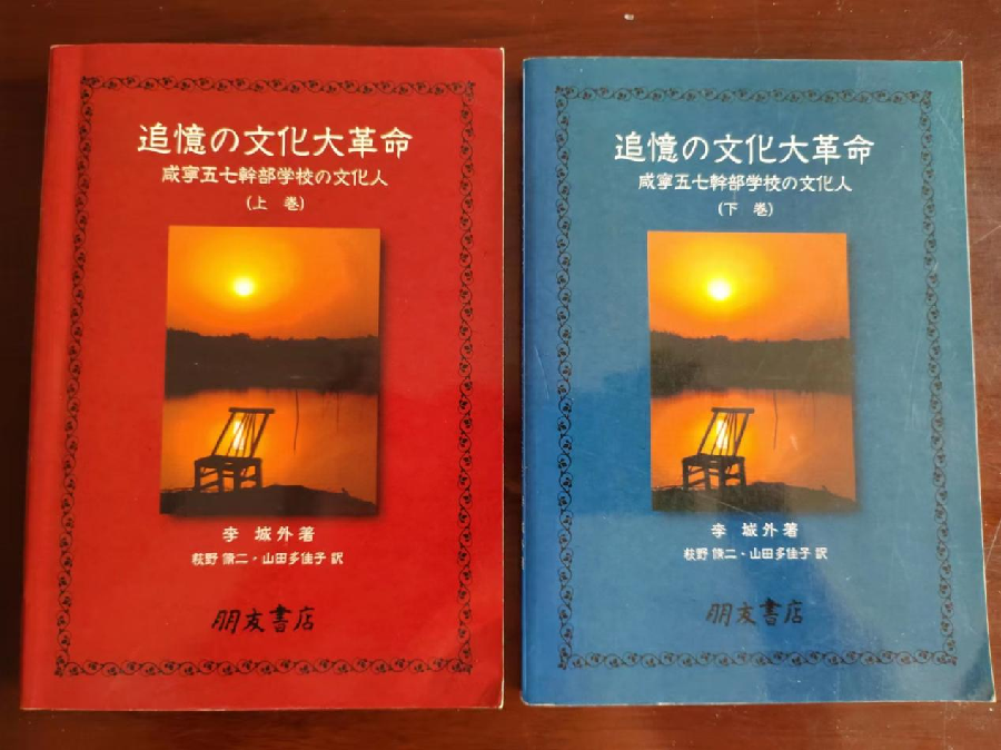 【《虽非干城壮志 却是格外传奇》——“文化兴咸”中的李城外】作者:王勿宁(图8)
