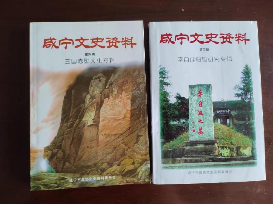 【《虽非干城壮志 却是格外传奇》——“文化兴咸”中的李城外】作者:王勿宁(图14)