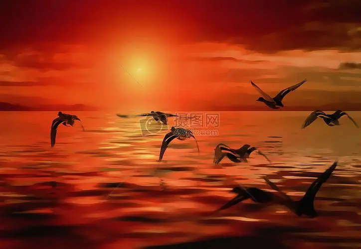 于向阳老师诗歌《拥抱夕阳》主播：傲雪红梅 编辑：小鱼儿 【北疆头条】（第227期）（图4）