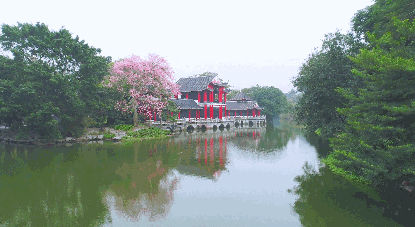 〔诗词小辑〕*北戴河宝地*作者 焦为刿（河北）【冰心文化传媒】（图3）