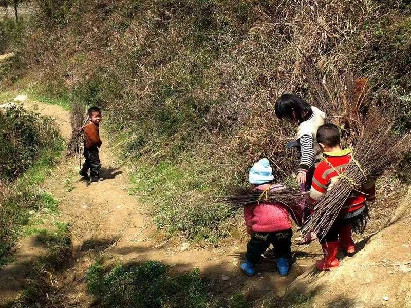 清平乐（赵长卿体）童年 贾子进（浙江）
