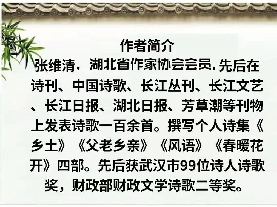 夏荷（图4）