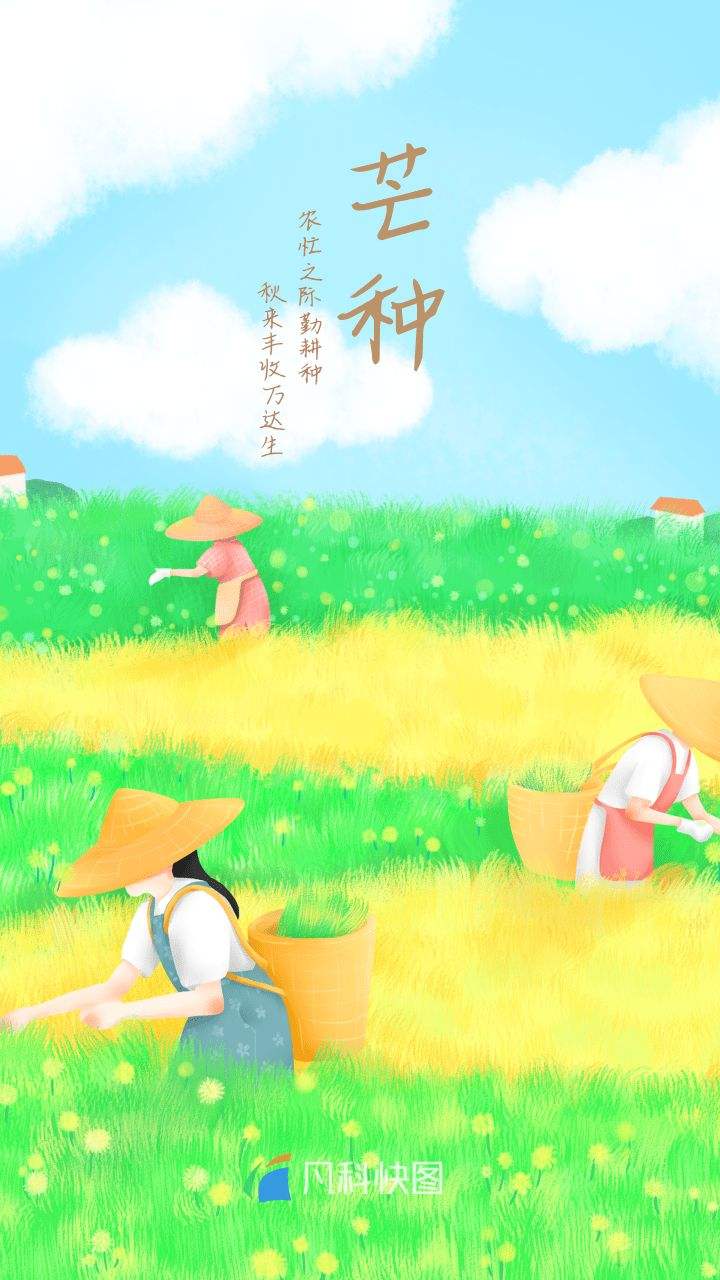 声声慢半过解佩令•芒种谣Ⅱ作者：白润岱ll朗诵：费军（图3）