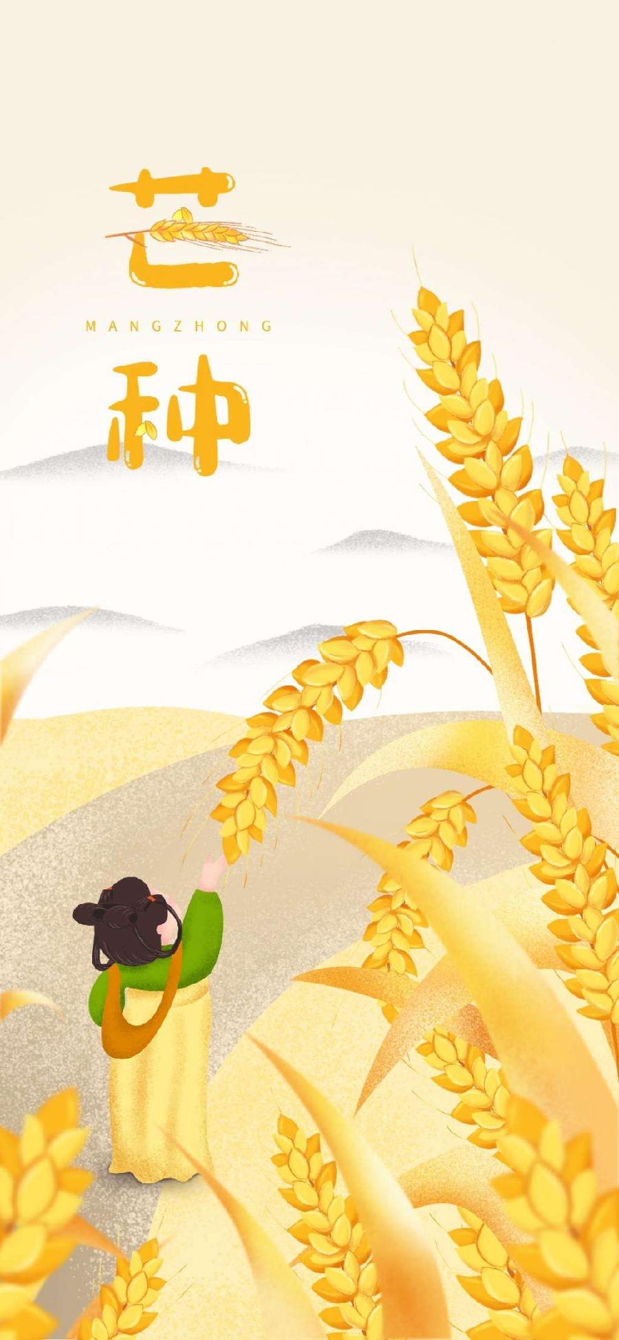 声声慢半过解佩令•芒种谣Ⅱ作者:白润岱ll朗诵:费军(图5)
