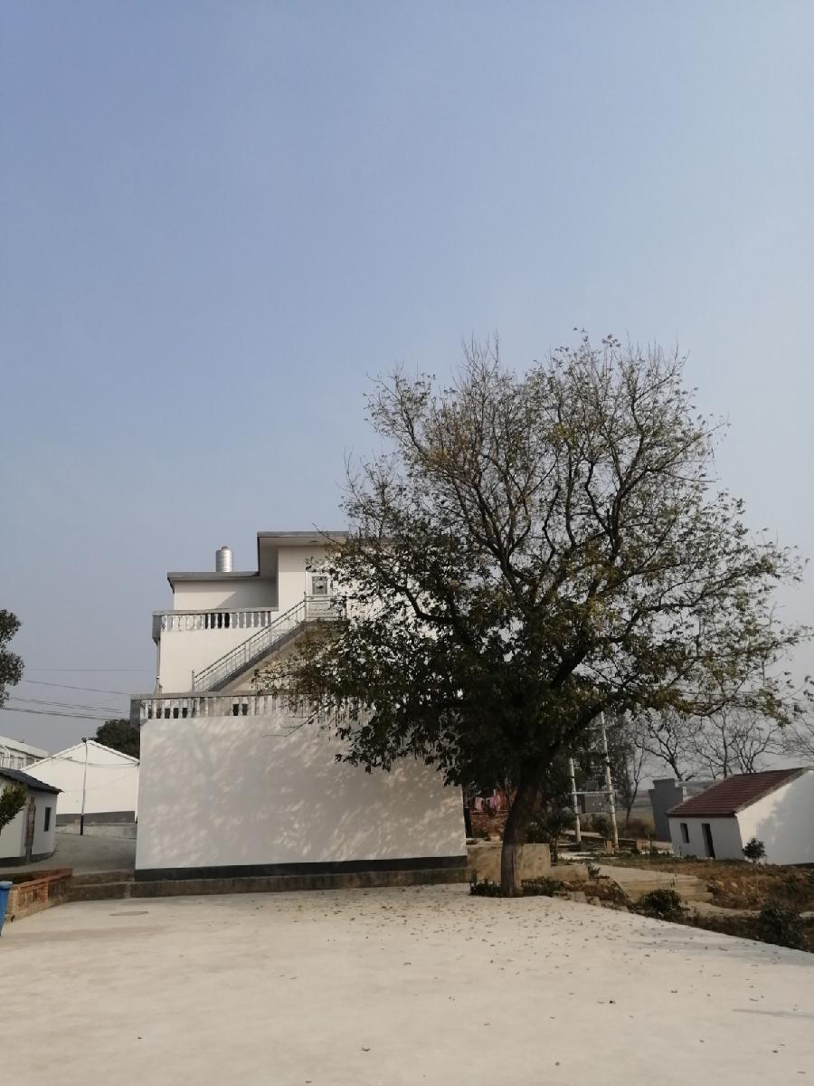 崔育文诗九首（新韵）（图8）